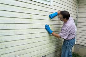 Best Storm Damage Siding Repair  in Burgaw, NC